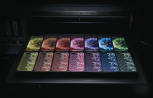 UV-printing-rolland-machine