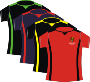 customized-round-neck-t-shirs-printing-supply-in-uae (1)